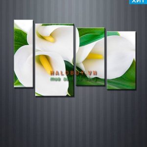 Tranh bộ nghệ thuật hoa Calla DH703A (kích thước 120x75cm)-0