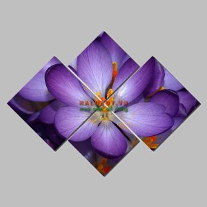 Tranh bộ nghệ thuật hoa Viola DH594A -0