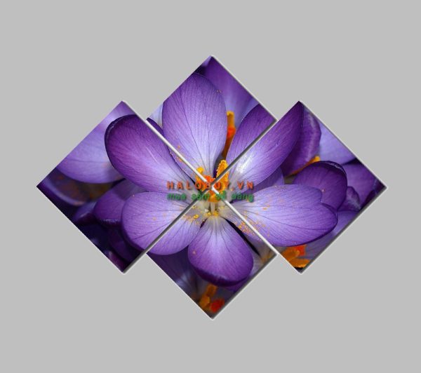 Tranh bộ nghệ thuật hoa Viola DH594A -0