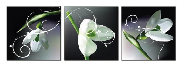 Tranh bộ 3 bức hoa trắng DH1301A (kích thước 90x30cm)-56768